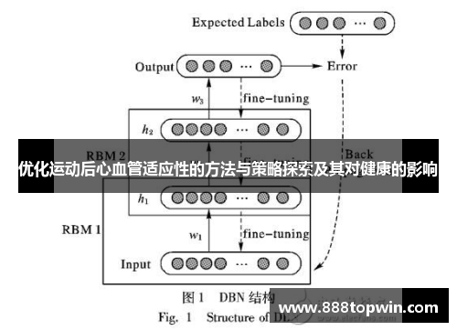 优化运动后心血管适应性的方法与策略探索及其对健康的影响