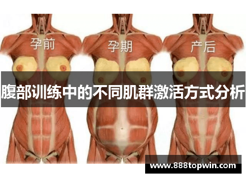 腹部训练中的不同肌群激活方式分析